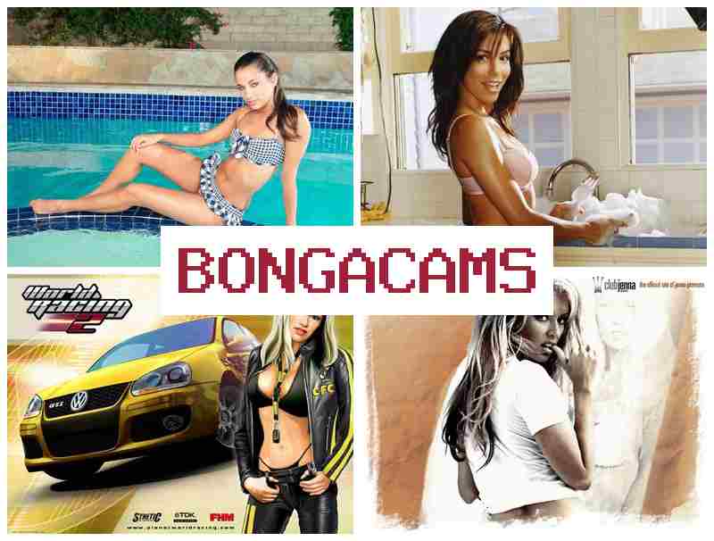 BONGA FAMS 💗 Loving Porn & Danger Porn