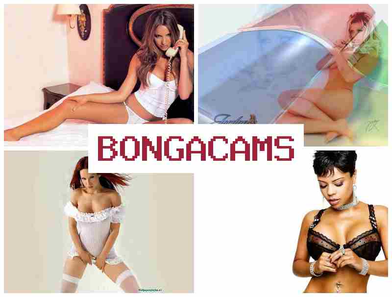 BONGA CQMS 💏 Big Tits, Solo, Webcam Girl & Porn Cum