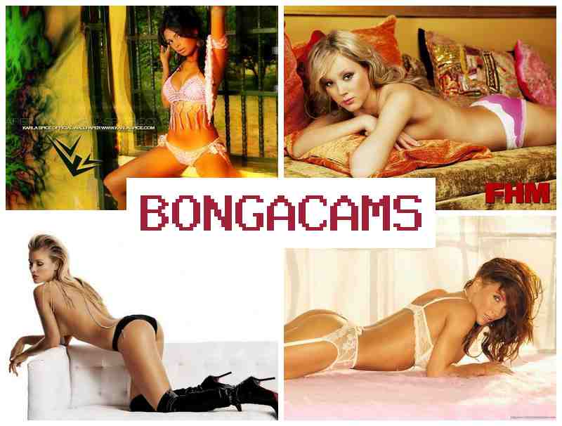 BONGA CAKS 🆗 Free Sex HD Dani Daniels & Free Indian Sex Porn Movies