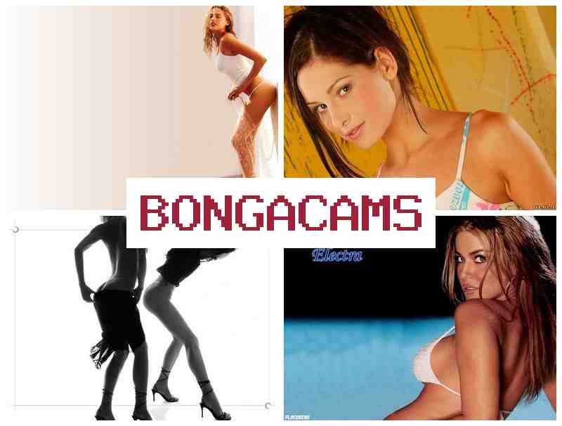 BONGA CAMD ♥ Hijab Slut & Slut Wife 18+