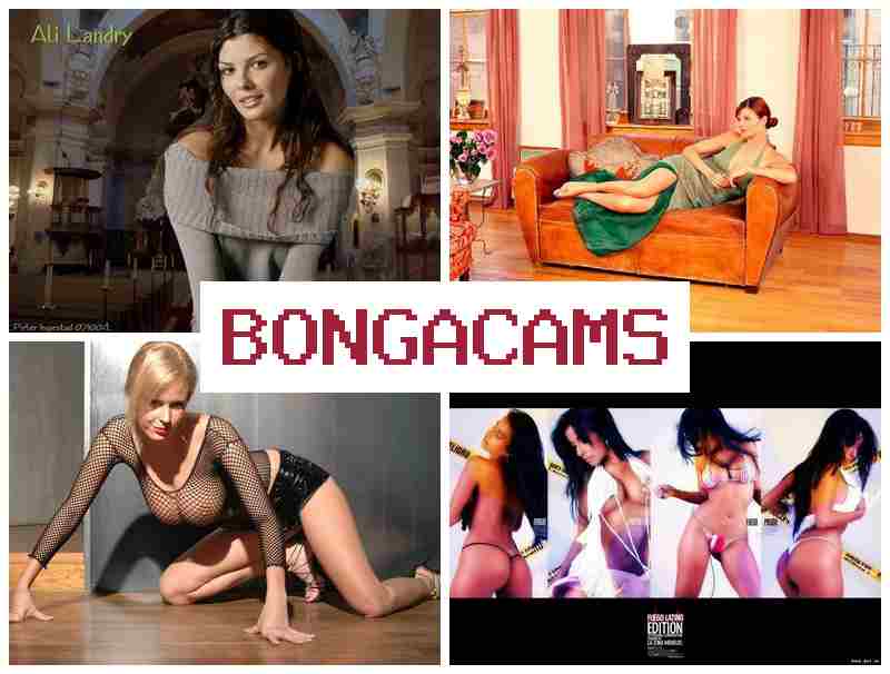 BONGA CAMZ 💜 Asian Girl Sex Porn & Free Video Chat Porno