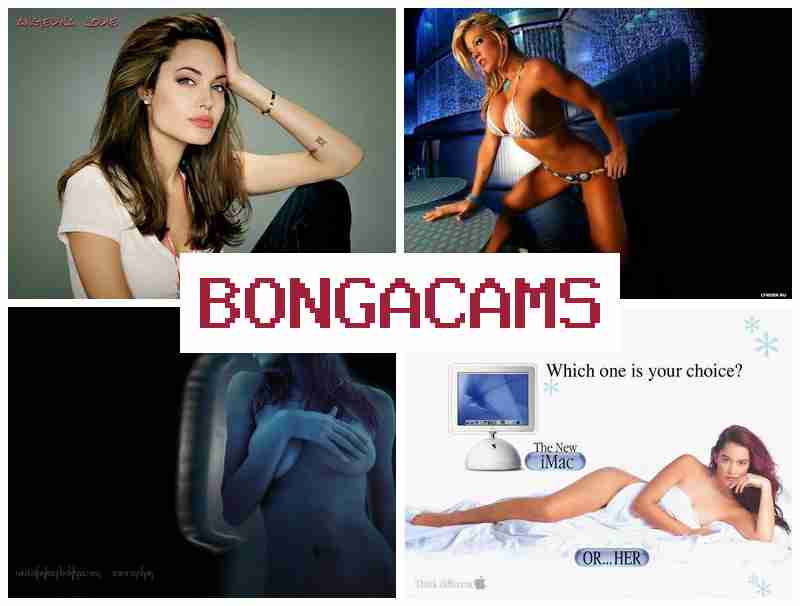 BINGACAMS 🆓 Chase Porn & Popular Videos Porno Chat