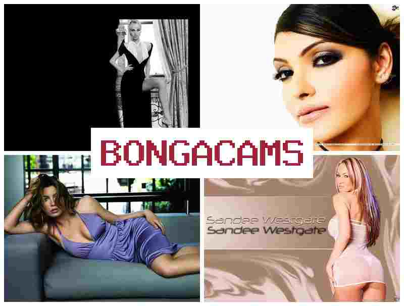 BPNGACAMS 💘 18+ Pussy, Webcam & Explicite Sex Scenes