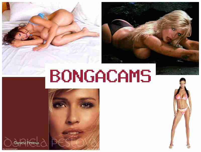 BLNGACAMS 🔵 Webcam Records Anal & New HD Porn
