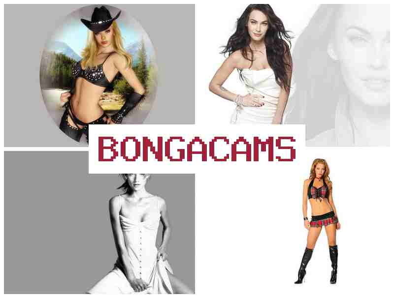 BOBGACAMS 🔵 Pornstar Sluts & American Porn