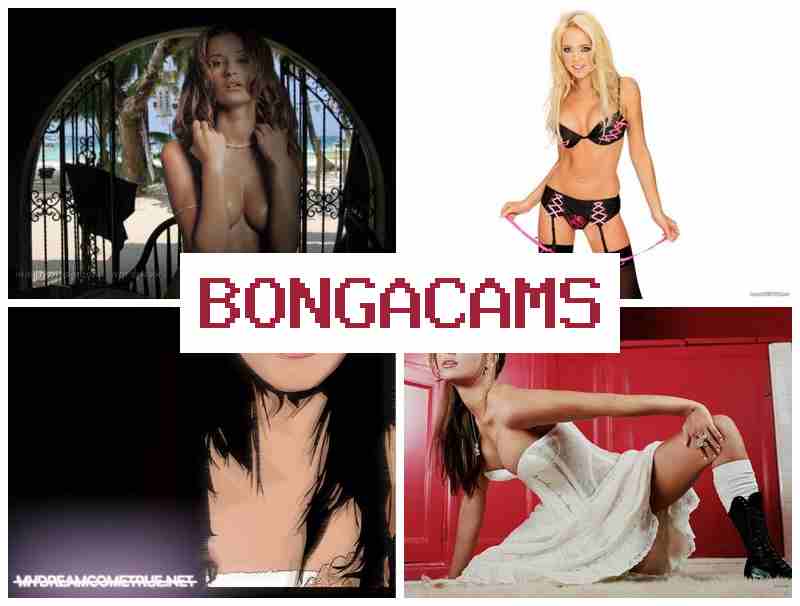 BOJGACAMS 🎥 Teens Asian Webcam, Anal Porno & Intim Mate Webcam Porn