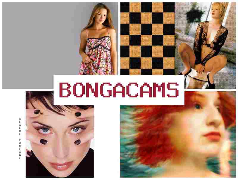 BONGCAMS 🔵 365 Porn & Cunt Slut