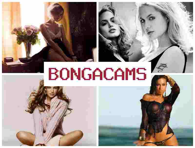 BONGQCAMS 💟 Trannies Porn & Mature Ass, Webcam Solo