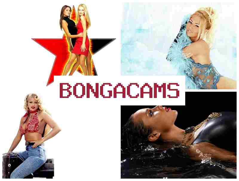 BONGAXAMS 🆕 Halloween Sluts & Hot Webcams XXX BONGAXAMS 🆕 Halloween Sluts & Hot Webcams XXX
