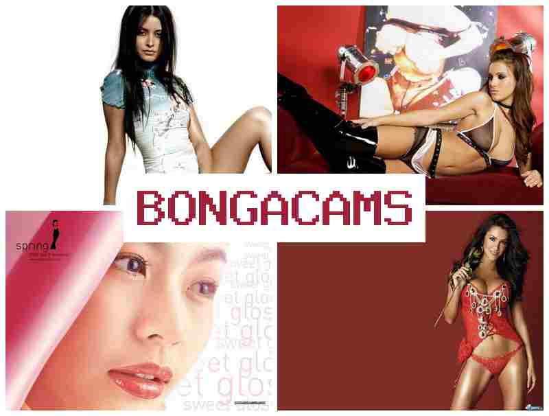 BONGACZMS 👩 18+ New Porno Sex & Drugs Slut Porn