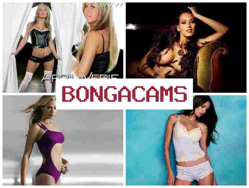 BONGACAME 🌟 Asian Webcam Superchat & Amateur Wife Sharing Sex