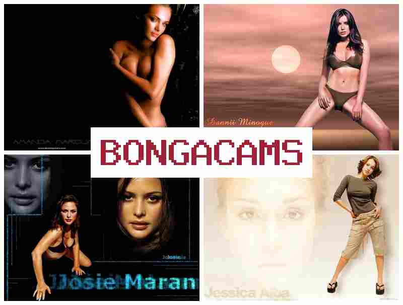 BONGA CAS 🔔 Webcam, Anal Tube & Archivebate Webcam Video