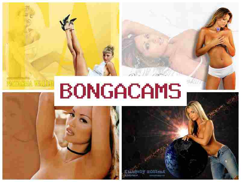 BONGA CAMSS ⭕ Webcam Girl OK & Teen Viert Webcam Porno