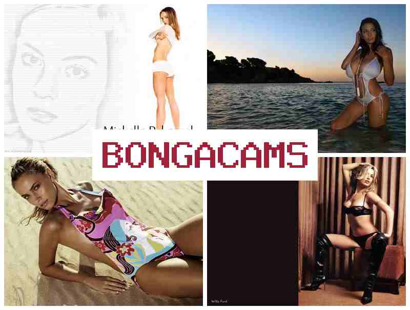 OBNGA CAMS 💟 Forced Sex Movie & Italian Porn