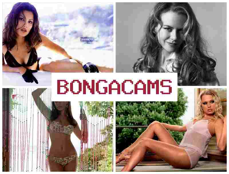 BBONGACAMS 🆓 American Sex Telegram & Slut Domination