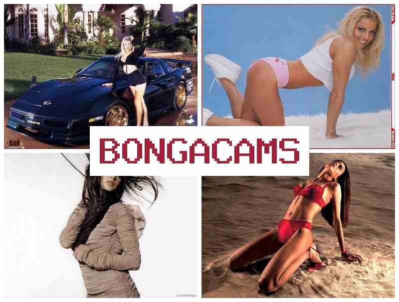 BONGA ACMS 🔞 Couple Sex & More Sluts