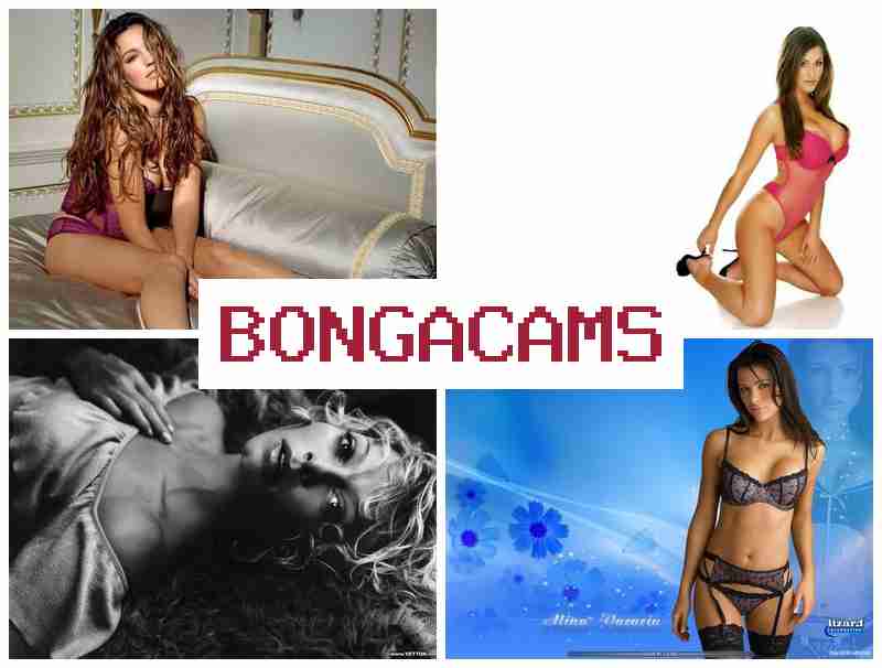 VONGA CAMS 🆗 Live Love Webcam & Big Sex Online
