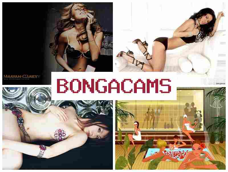 ONGACAMS 🔵 Porno Real Family Nudist Incest, Webcam & Good Girl Sex