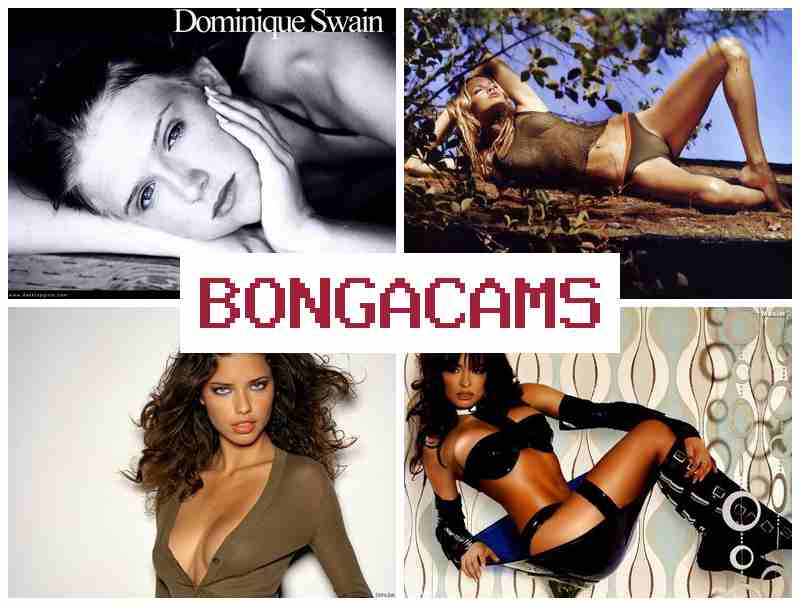 B0NGA CAMS ✔️ Lustful Slut Slutfit Porno & Teen Webcam Video Play Pussy Solo