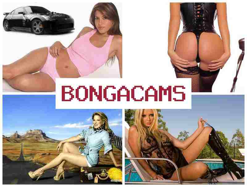 BONFA CAMS ▒ Ero Porno Webcam & Sluts Brunette Porn