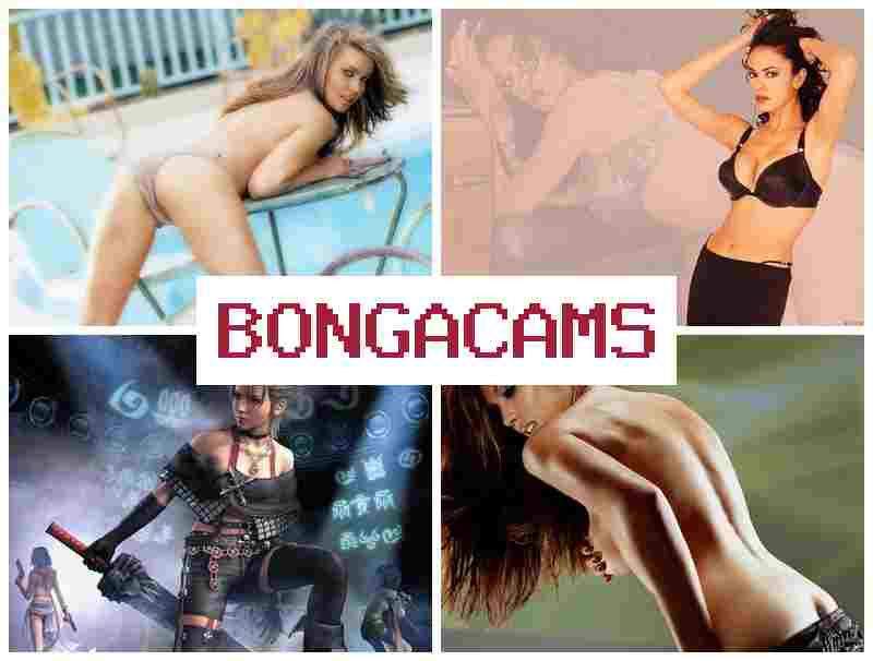 BONBA CAMS 🎥 Slut Wife Creampies & Shemale Porn