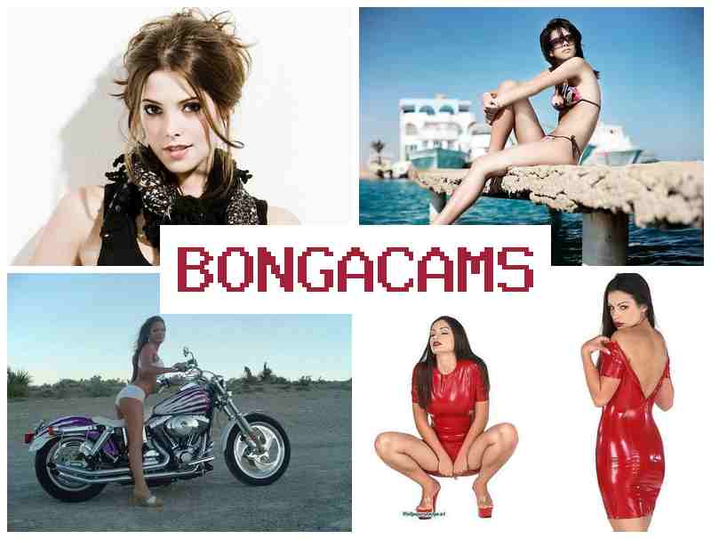 BONVA CAMS 💝 Teen Masturbation, Webcam, Dildo & Big Tits Busty Group Sex BONVA CAMS 💝 Teen Masturbation, Webcam, Dildo & Big Tits Busty Group Sex