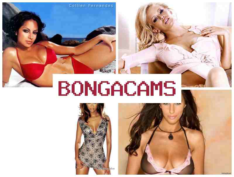 BONGZ CAMS 💯 Webcam HD Sex Porno & Chubby Milf Sex