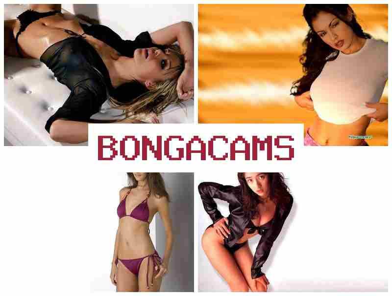 BONGA CAKS 👩 Slut TG & Fat Porn