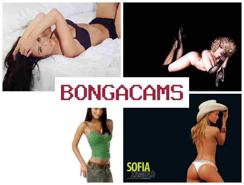 BONGA CAMA 🌟 Better Porn & Ukrainian Webcam Porn