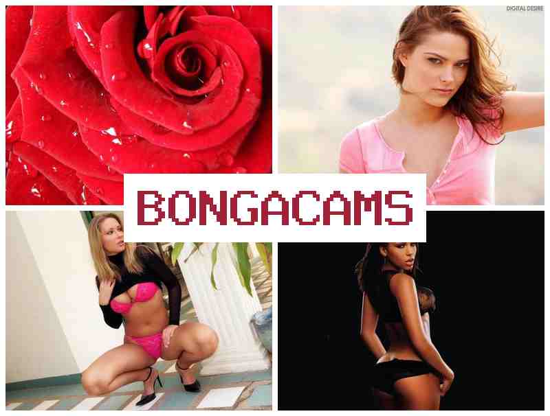 BONGACCAMS ▒ Porn Beautiful Slut & Teen Webcam, Dildo Orgasm