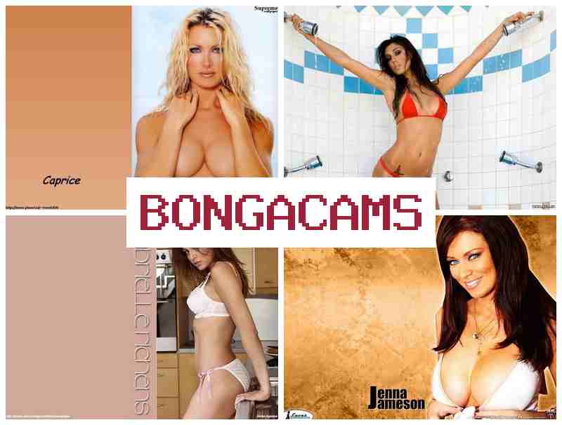 BONGACAMSS 🔻 Tattoo Sluts Fuck & Candy Webcam Girl