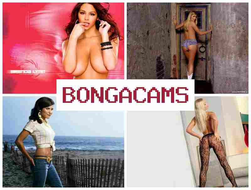 OBNGACAMS 👩 Black Velvet Webcam Videos & HD Sex Teens XXX