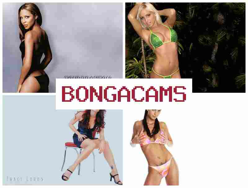 BOGACAMS 💘 Blacked Porn & Teen Girl, Webcam Porno Forum