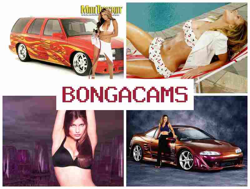 BONGACASM 💑 Free XXX Sex Gallery & Milf Ass Porn