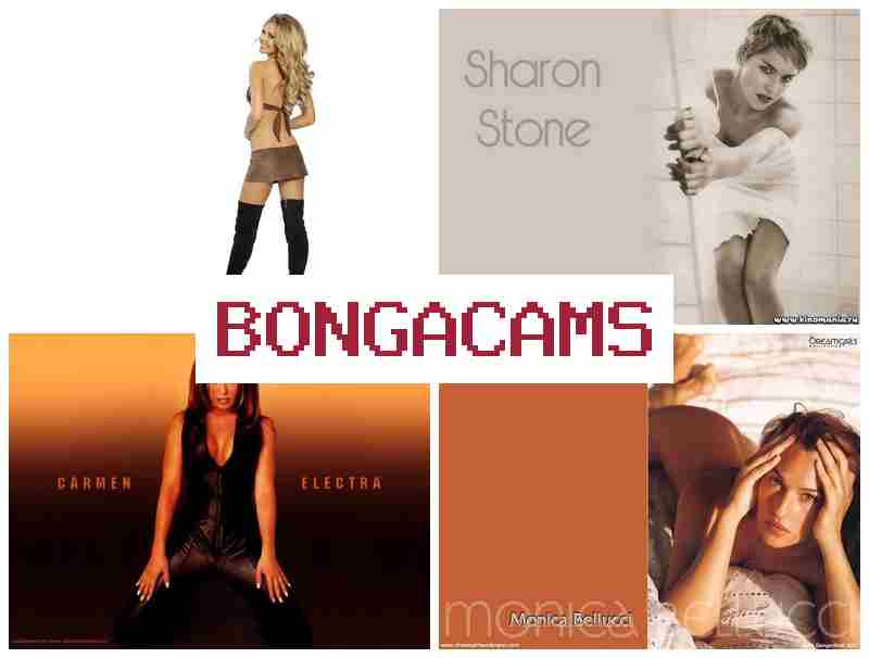 VONGACAMS 🔶 DP Sex Chat & Furry Gay Porn