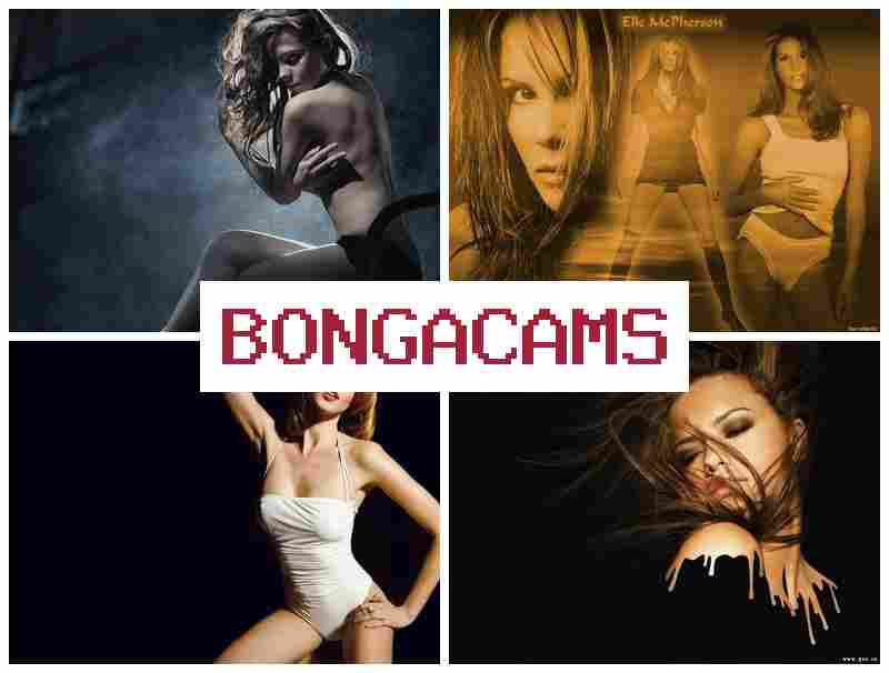 NONGACAMS 💙 Porn Cum & Porn Tok