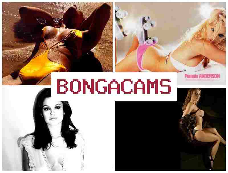 BOHGACAMS █ Indian Porn & Student's Porn
