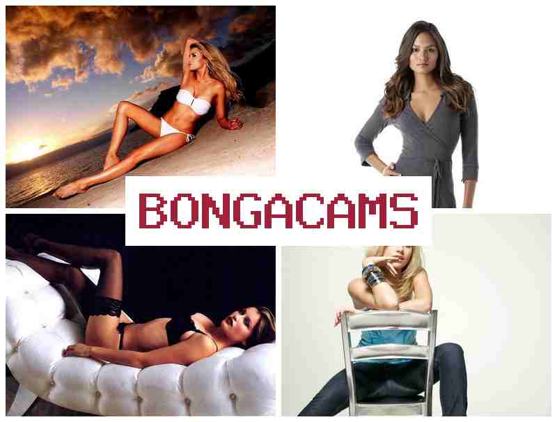 BONTACAMS ☑️ Webcam, Teen Young Girl Video & Porno HD Webcam, Teens