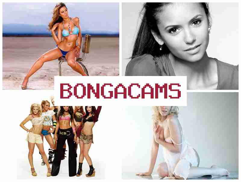 BONGQCAMS 🆓 Sex Tits Ass Porn & 2d Porn