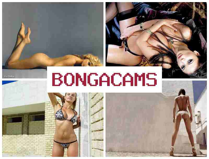 BONGAXAMS █ Korean Webcam Video & Group Sex Porn VK BONGAXAMS █ Korean Webcam Video & Group Sex Porn VK
