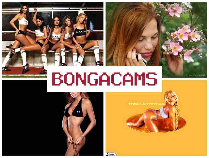 BONGAFAMS 💟 Busty Sluts Porn & Star Show Webcam Shows