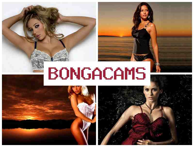 BONGACA,S 💘 Milfs Webcams Anal Porno & Milfa Hot Webcam Video