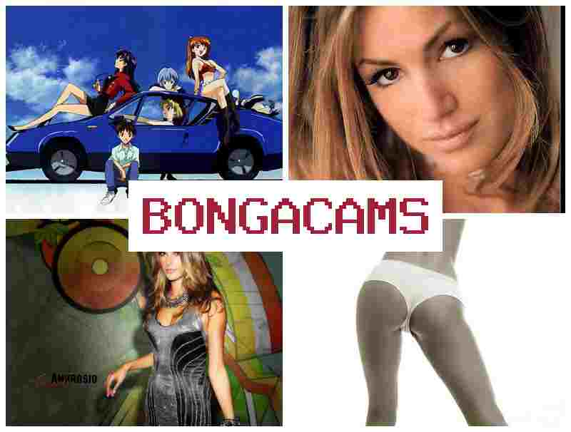 BONGACAMX ♥ Amateur Teen Dildo, Webcam & Amateur Erotic Webcams