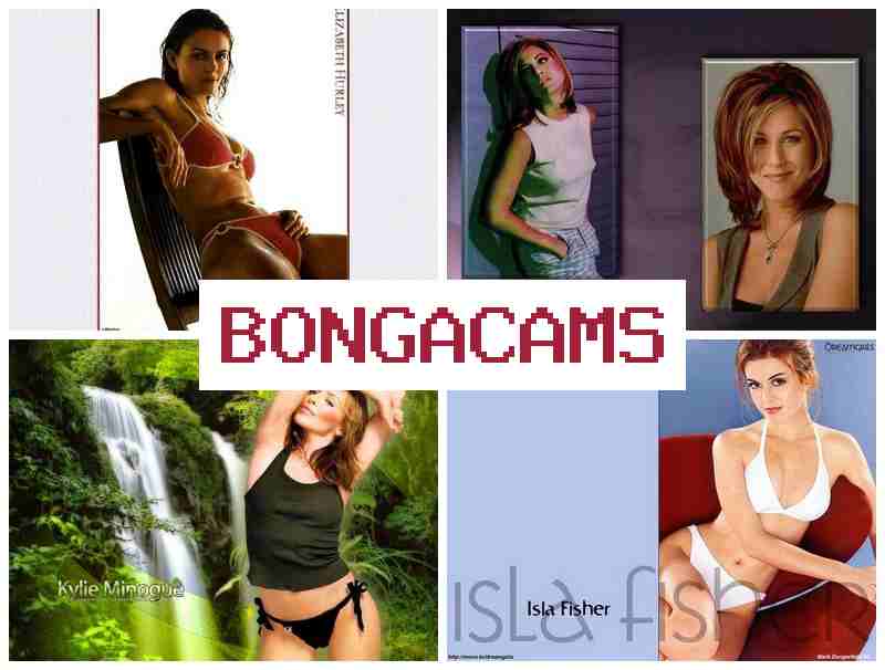 BOGA CAMS 📹 TGirls Webcam & Lustful Slut Archives Video