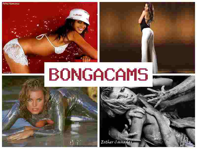 BONGA AMS 😍 Slut HD Sex & Porn Movies