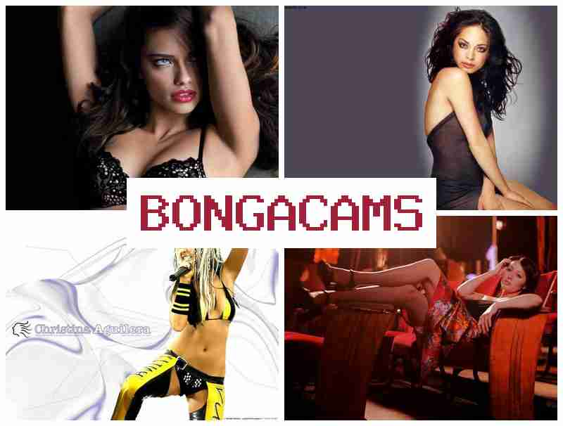 BONGA CMS 👩 Webcam, Teen Squirting Masturbation & Happy Slut