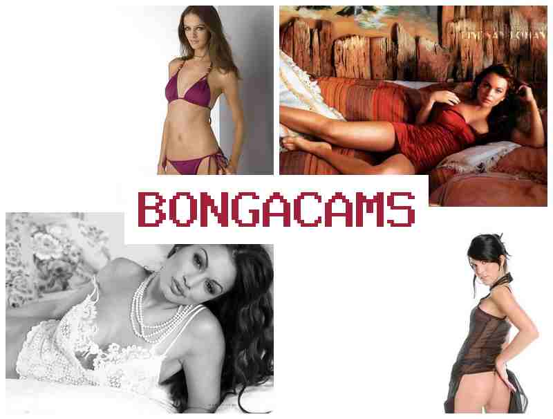 BONGACAM 👍 FNF Sex Telegram & Slut Sex Wife Porno