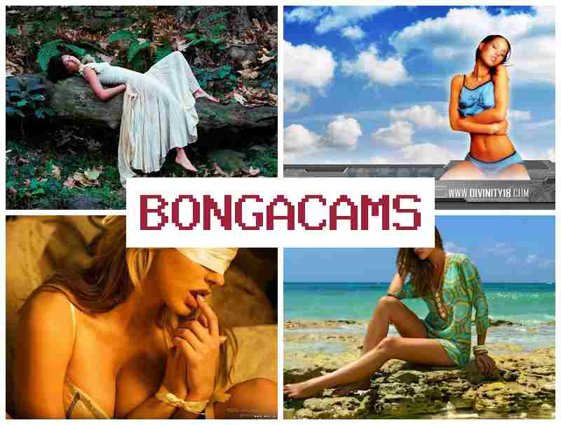 BONNGA CAMS 🆗 Big Blowjob Porn & Webcam Nylons Porn