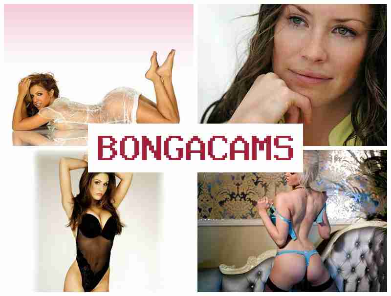 BONGGA CAMS 💛 Art Porn & Selti Webcam Porn
