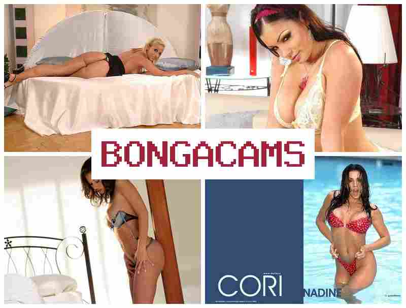 BONGAA CAMS 💘 Petite Slut Sex & Girl Next Door Chat Video